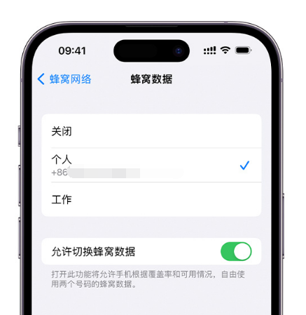 乐至苹果维修服务分享如何在iPhone上使用双卡 